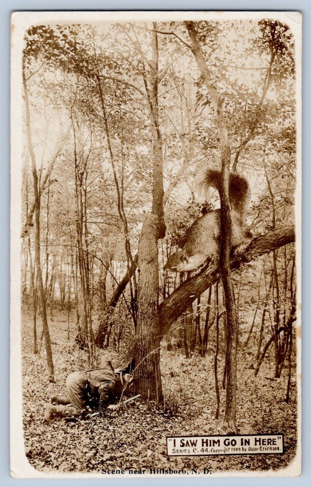 Hillsboro North Dakota ND Exaggeration Squirrel Real Photo Postcard RPPC 1911