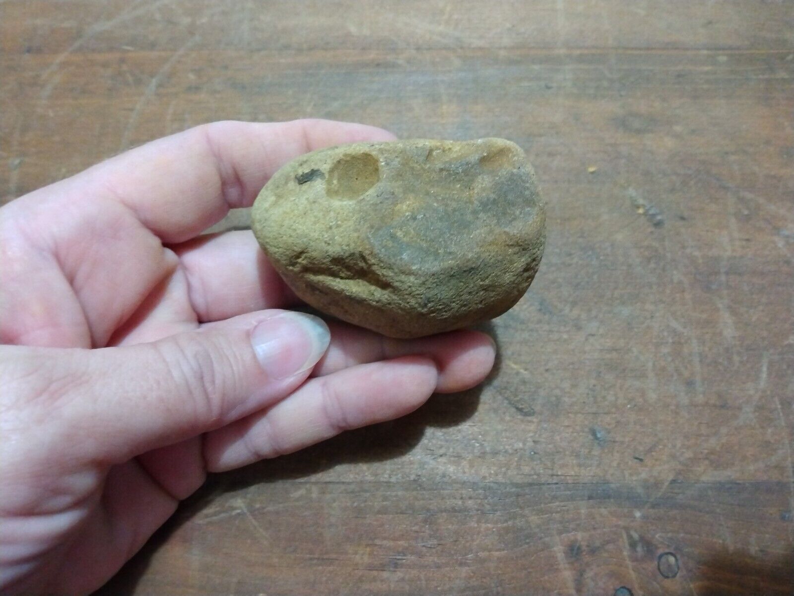 Snake Head Effigy No COA Firestarter Nutting Stone Rock Native American Paleo...