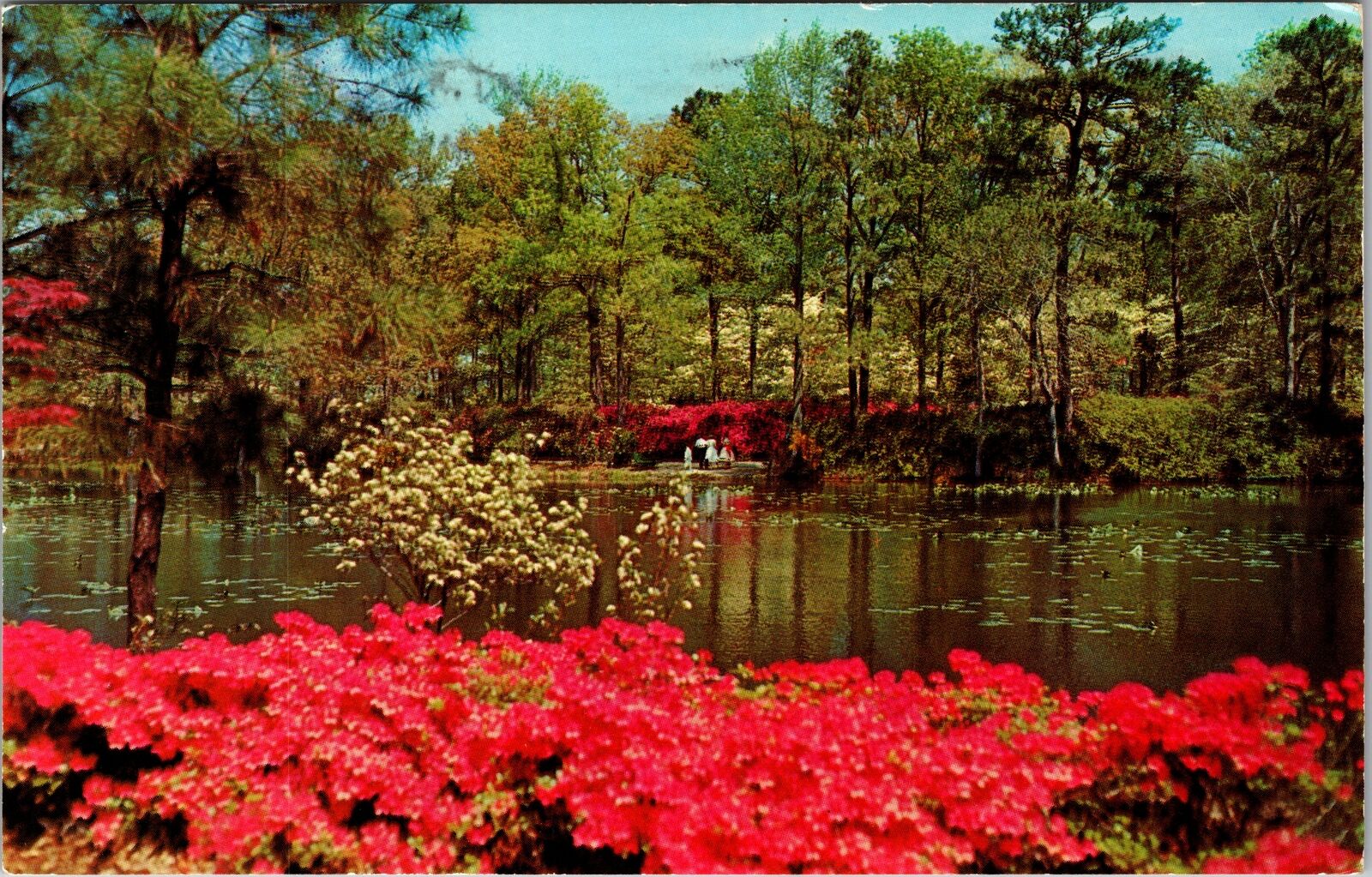 Norfolk VA-Virgina, Municipal Gardens, Scenic View, Vintage Postcard
