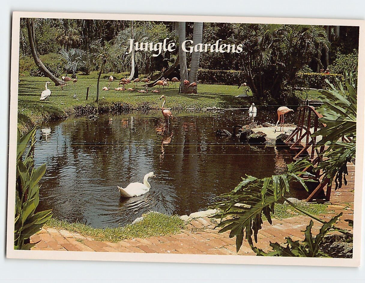 Postcard Jungle Gardens, Sarasota, Florida
