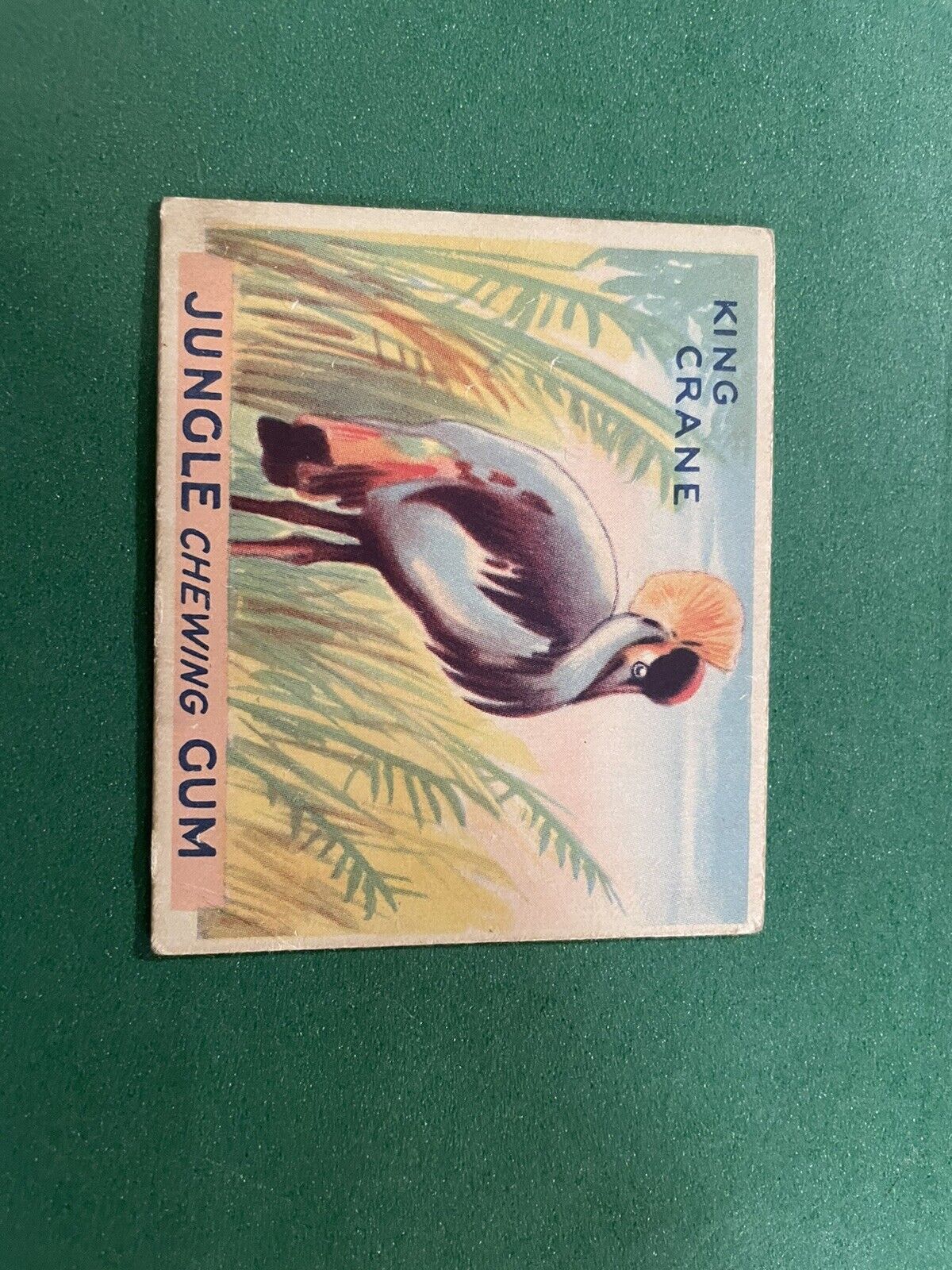 1930's , Jungle Chewing Gum Card,  #55, King Crane, Very Good ?