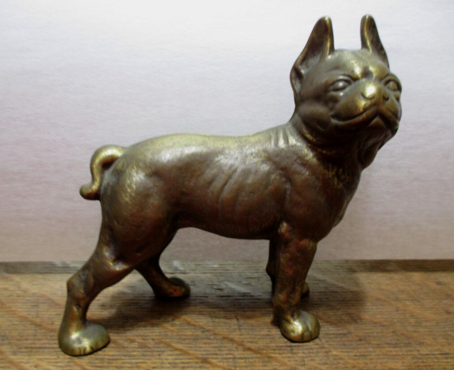 Boston Terrier Dog bulldog Coin Bank Solid Brass