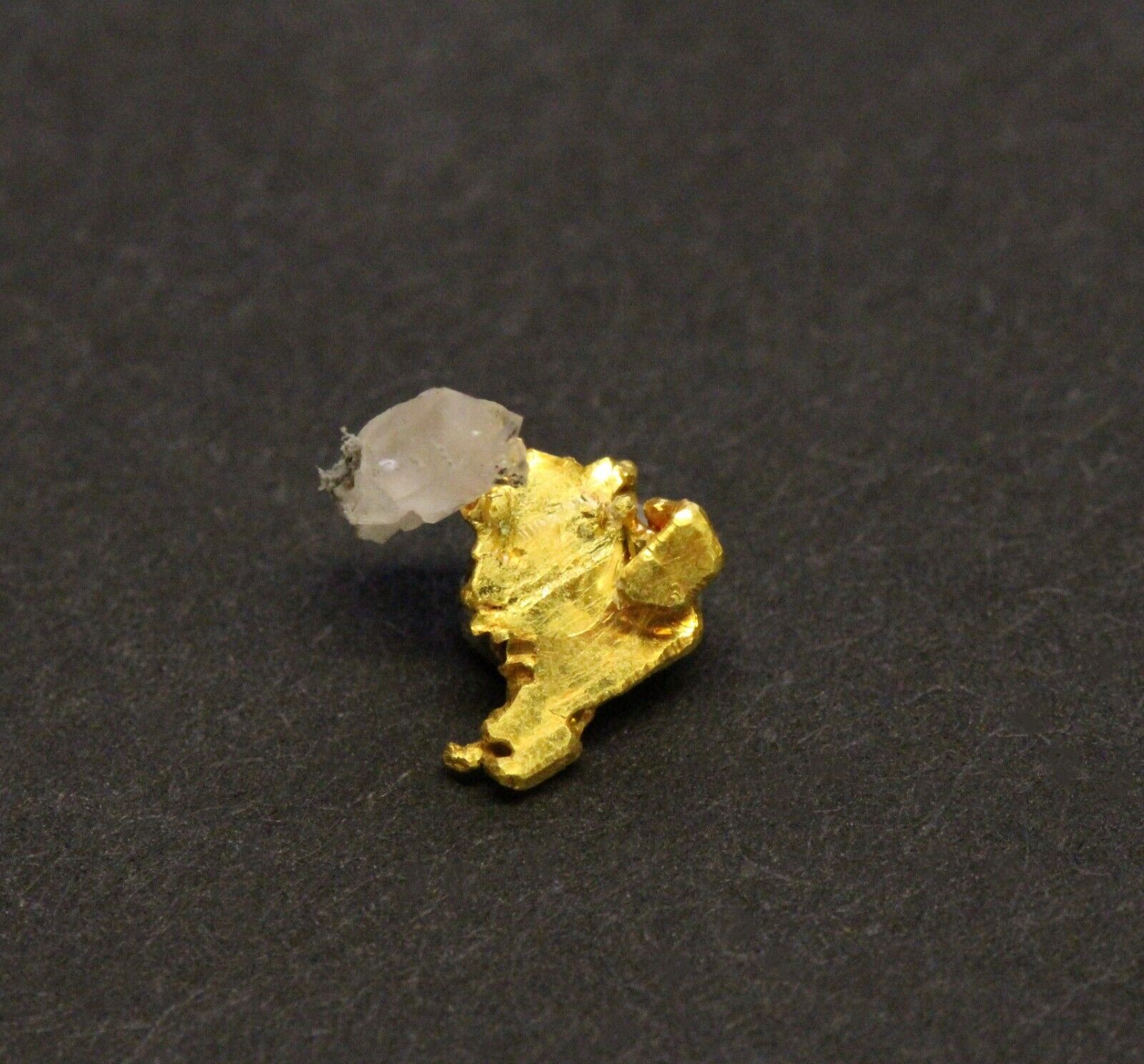 Gold specimen Crystalline Gold  Texas Hill  Mariposa Co. CA