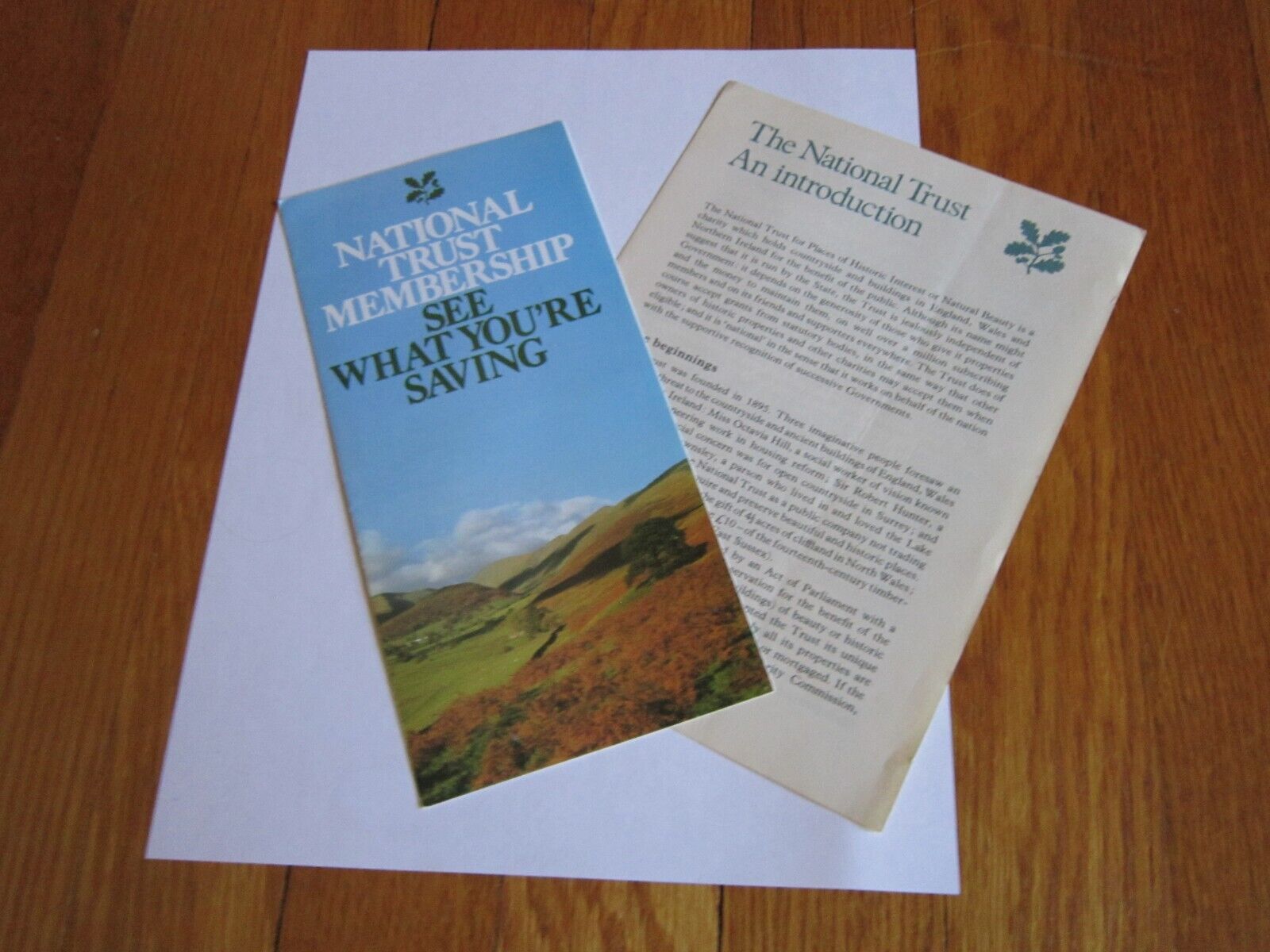 Vtg UK National Trust Membership Brochure Application 1980s Info England History