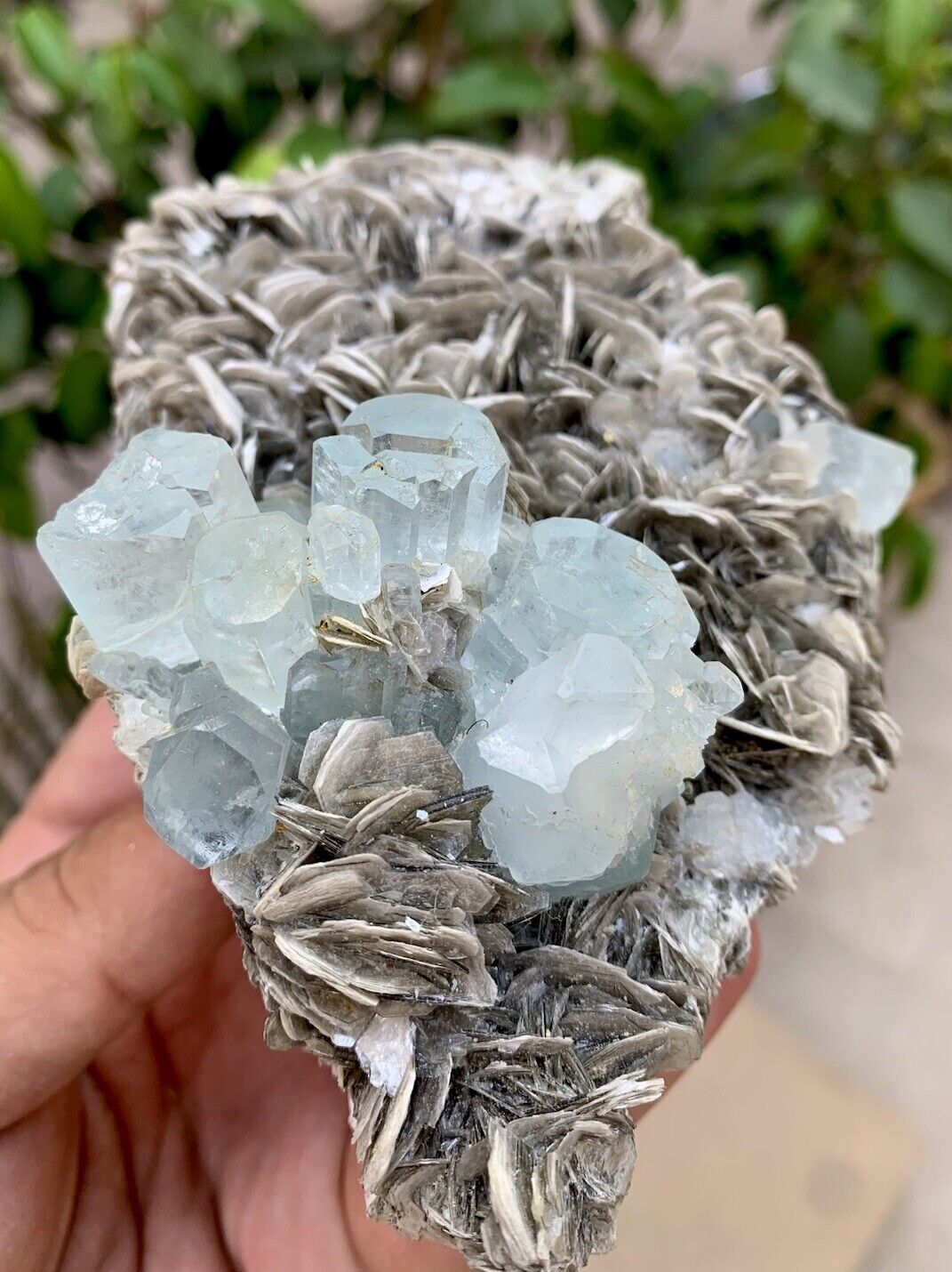3555 CTS Stunning Natural Aquamarine Crystals With Muscovite  Specimen