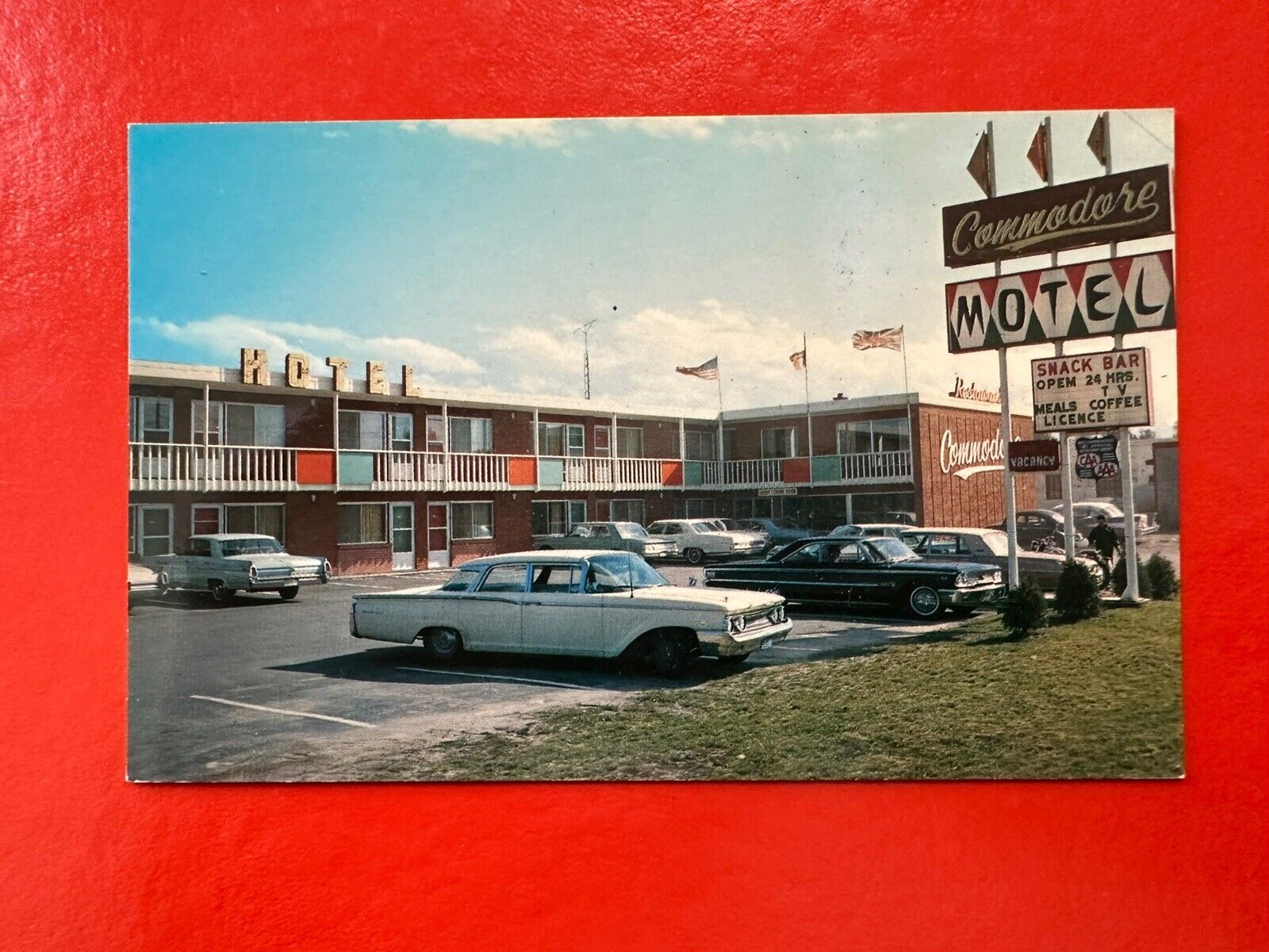 Vintage UNUSED Postcard~ONTARIO CANADA~COMMODORE MOTEL Sault Ste Marie SOO  Cars