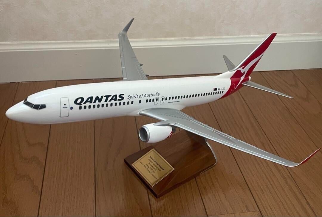 Pacmin 1/100 Qantas Boeing B737-800