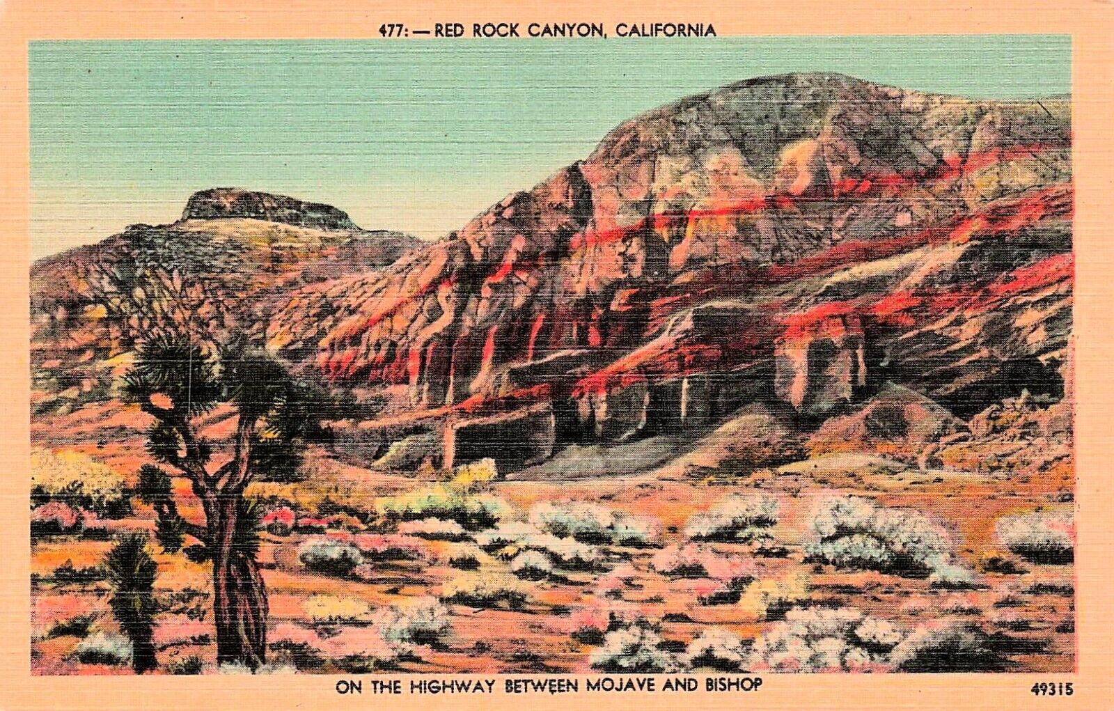 Red Rock Canyon California Mojave Desert Bishop Joshua Tree Cactus Postcard E26