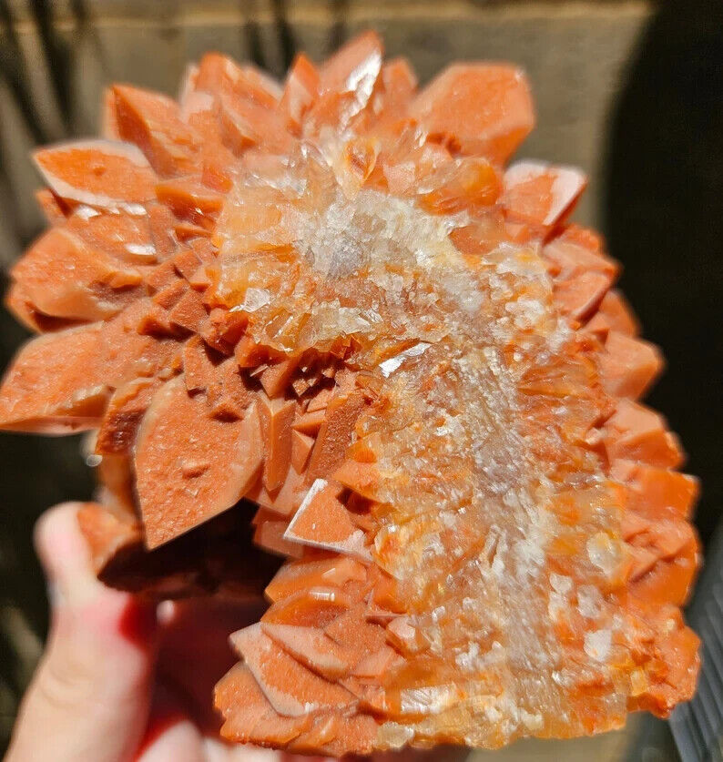 588g Dog Tooth Calcite/Red Calcite/Minerals/Crystals/Fujian, China