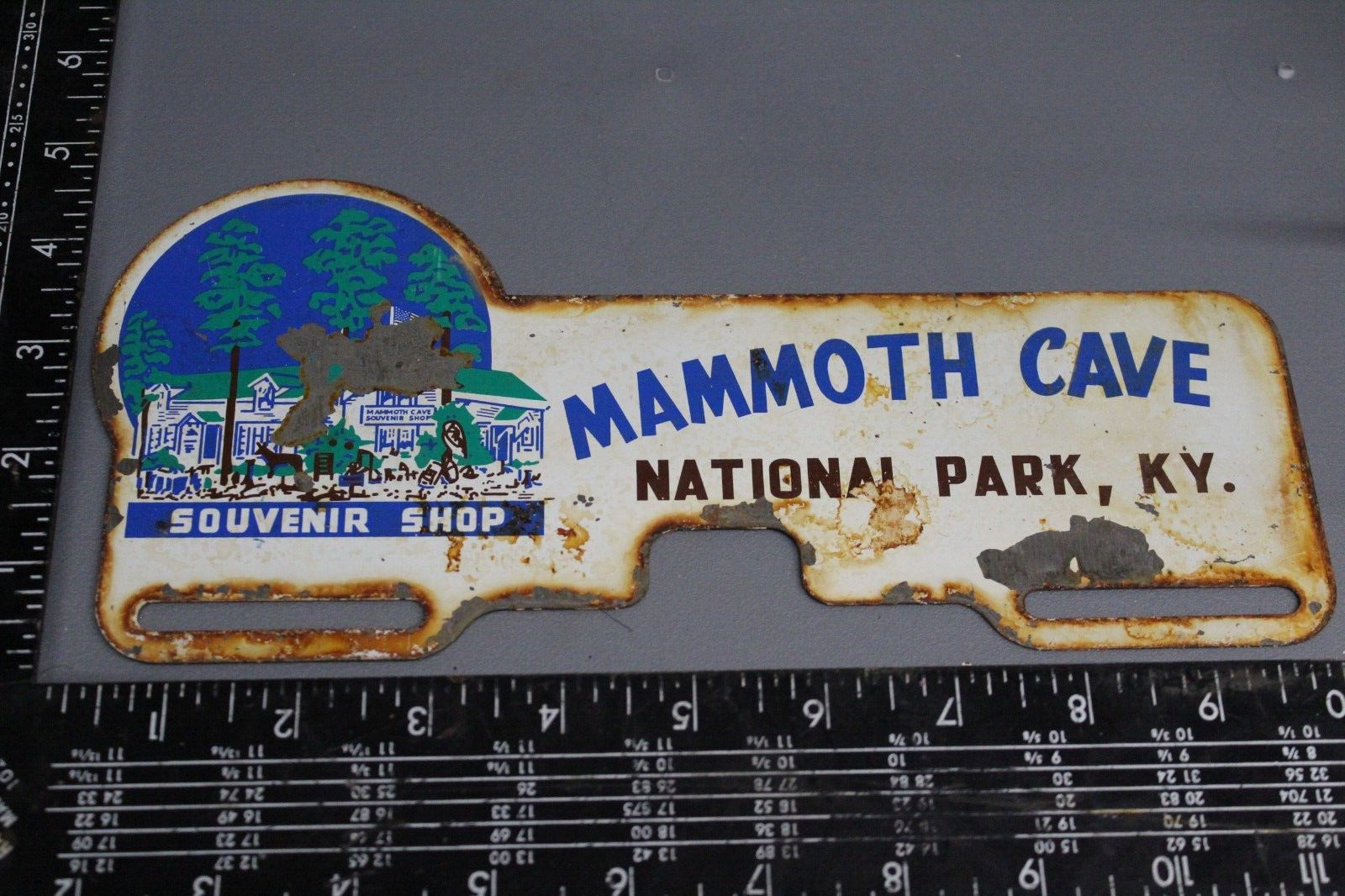 1950s MAMMOTH CAVE NATIONAL PARK KENTUCKY PAINTED METAL PLATE TOPPER SIGN BATS