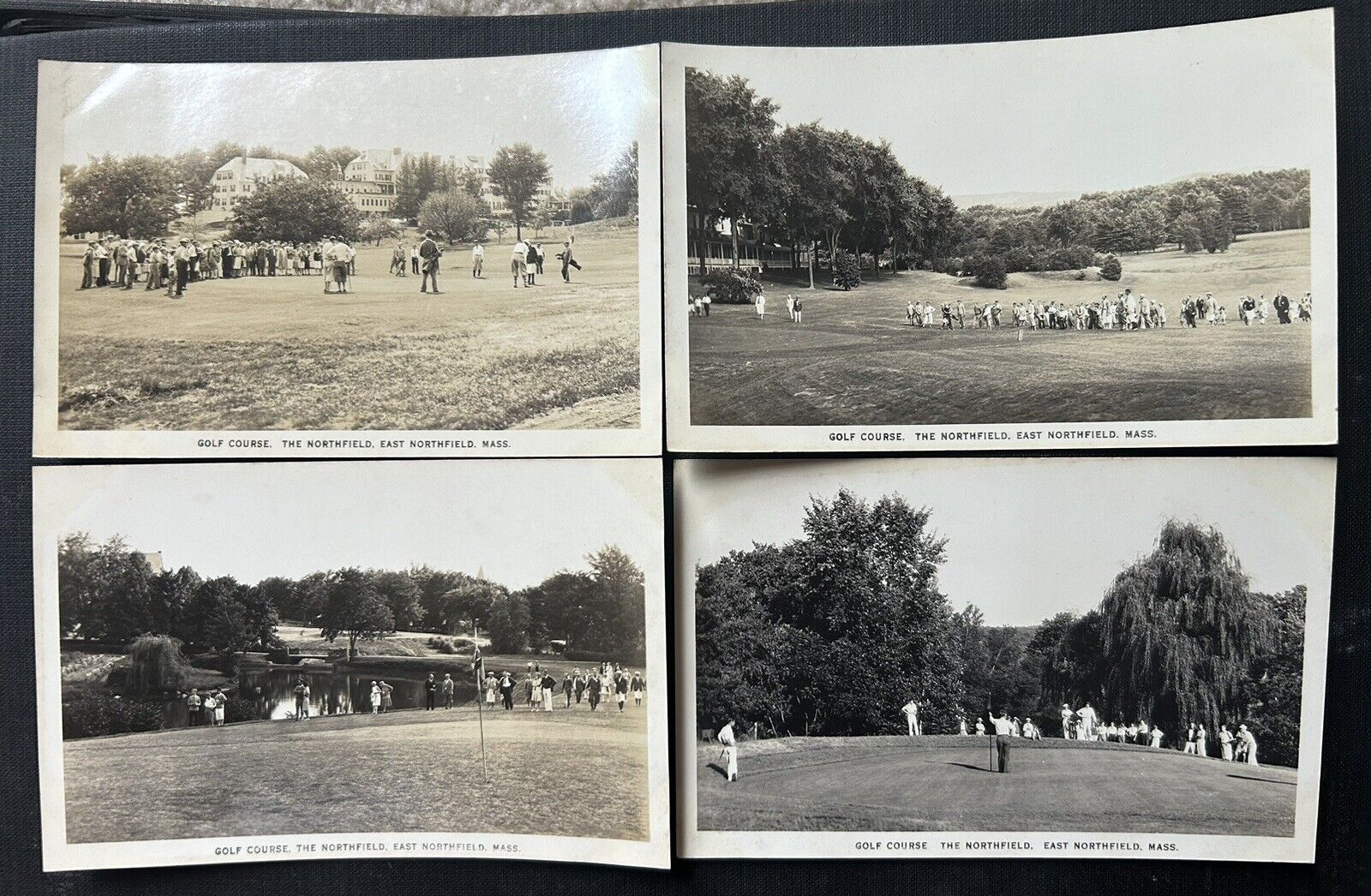 Set of 4 Golf Course Real Photo Postcard RPPC. East Northfield, Mass.  Franklin