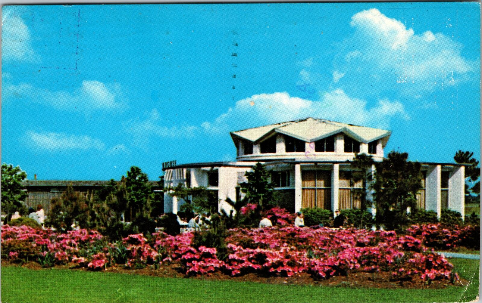 Norfolk VA-Virgina, Botanical Gardens Gift Shop, Vintage Postcard