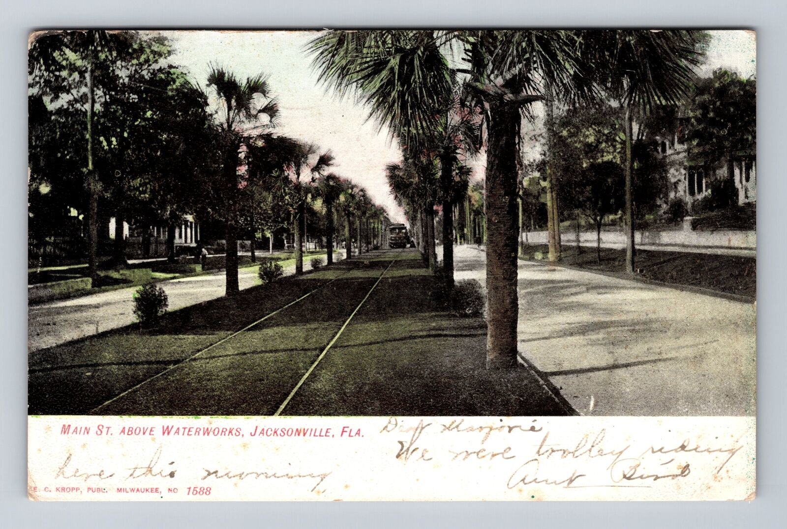 Jacksonville FL-Florida, Maine Street above Waterworks, Vintage c1906 Postcard