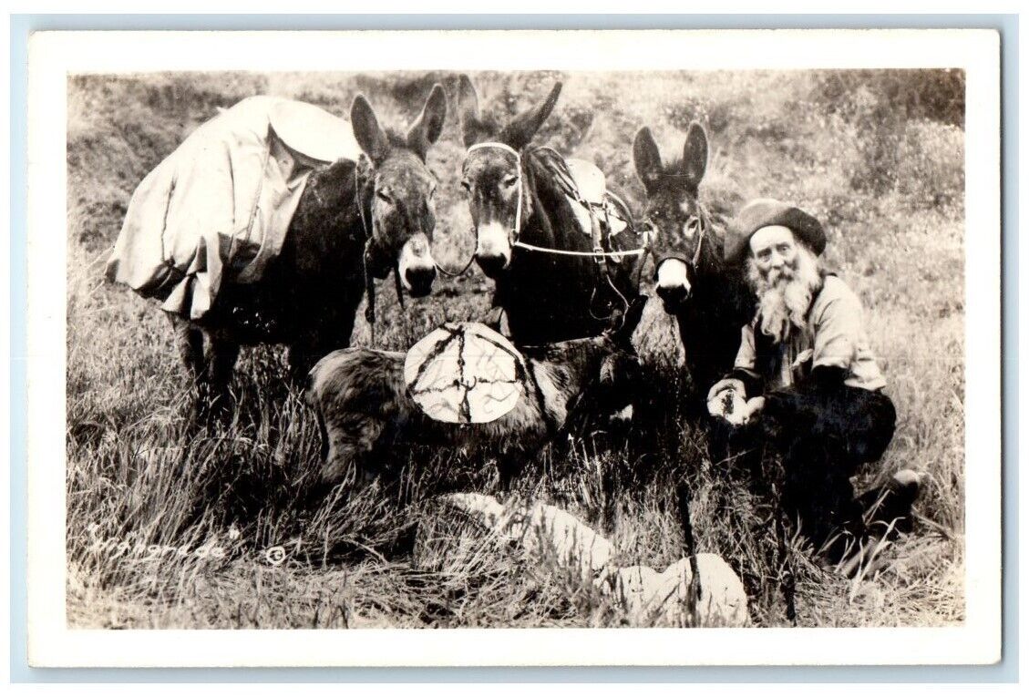 c1940's Peter Voss & Donkeys Prospector Miner RPPC Photo Unposted Postcard