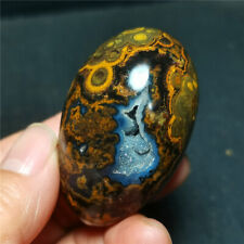 Rare 74G Natural Inner Mongolia Gobi Eye Agate Geode Collection Healing WYY2371 picture