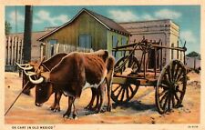 Ox Cart in Old Mexico Vintage Linen Postcard picture