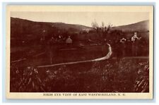 c1910's Bird's Eye View Of East Westmoreland New Hampshire NH Antique Postcard picture