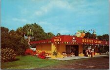 c1960s ALVA, Florida Advertising Postcard MURPHY GROVES Highway 80 Roadside picture