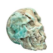 Large Blue Aragonite Skull Crystal Skull Carving picture