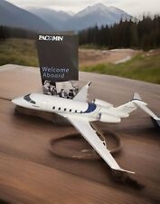RARE PACMIN BOMBARDIER  350 1:55 DESK DISPLAY MODEL AIRPLANE Jet picture