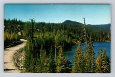 WA-Washington, White Pass Highway & Dog Lake, Vintage Postcard picture