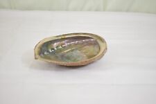 Vintage Abalone Clam Shell Shaped Natural Trinket Dish Beautiful picture