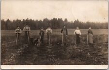 Vintage 1910s Real Photo RPPC Postcard FARMING SCENE Potato Field / Workers picture