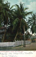 Postcard FL Key West Tropical Street Scene Posted 1910 Vintage PC J8869 picture