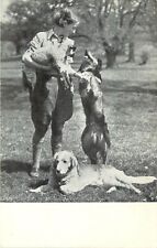 UK National Canine Defence League Postcard; Woman w/ Lamb & Dogs, Unposted picture