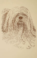 Lhasa Apso Dog Art Print #27 WORD DRAWING Kline will add your dogs name free. picture