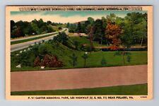 Pulaski VA- Virginia, Carter Memorial Park, Lee Highway, Vintage Postcard picture