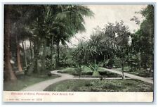 c1905's Grounds At Royal Poinciana Palm Beach Florida Unposted Vintage Postcard picture