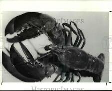 1991 Press Photo The fresh lobster picture
