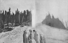 Lone Star Geyser Yellowstone Park WY Wyoming c1905 Postcard 4183 picture