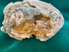 Fossil Calcite Clams with bright Dog Teeth pointed calcite picture