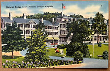 Virginia Natural Bridge Hotel Street View Postcard c1940 picture