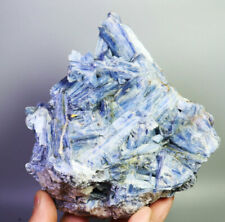 3.51lb Natural Blue kyanite Quartz Crystal Cluster kyanite Gem Mineral Specimen picture