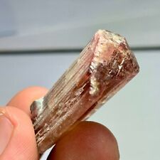 Pink Tourmaline Crystal | Tourmaline Crystal Collection | Wt : 67 Carats picture