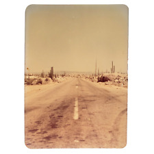 American Southwest Road & Cacti Photo 1970s Vintage Found Highway Snapshot B3395 picture